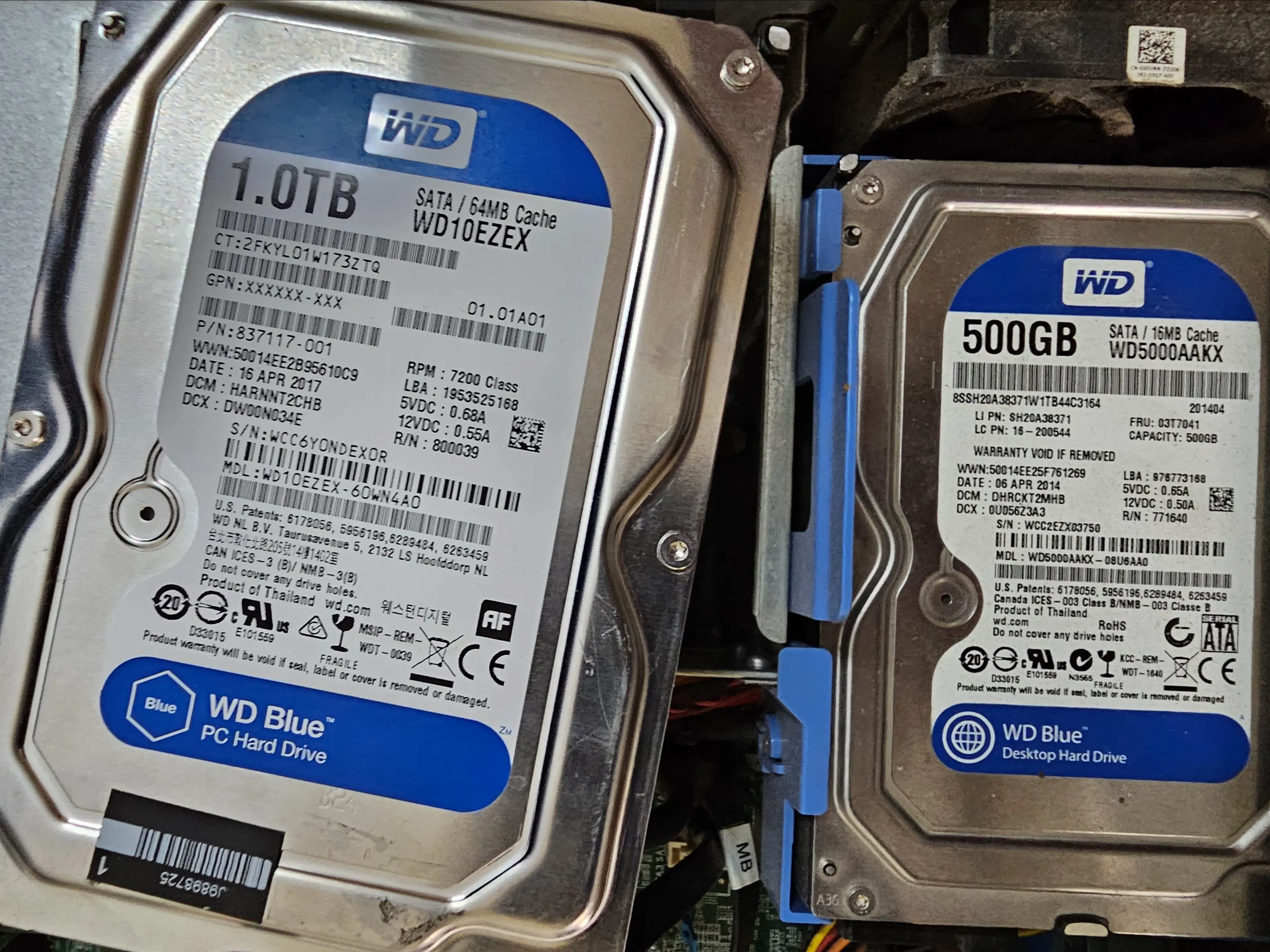 WD Blue Hard drives